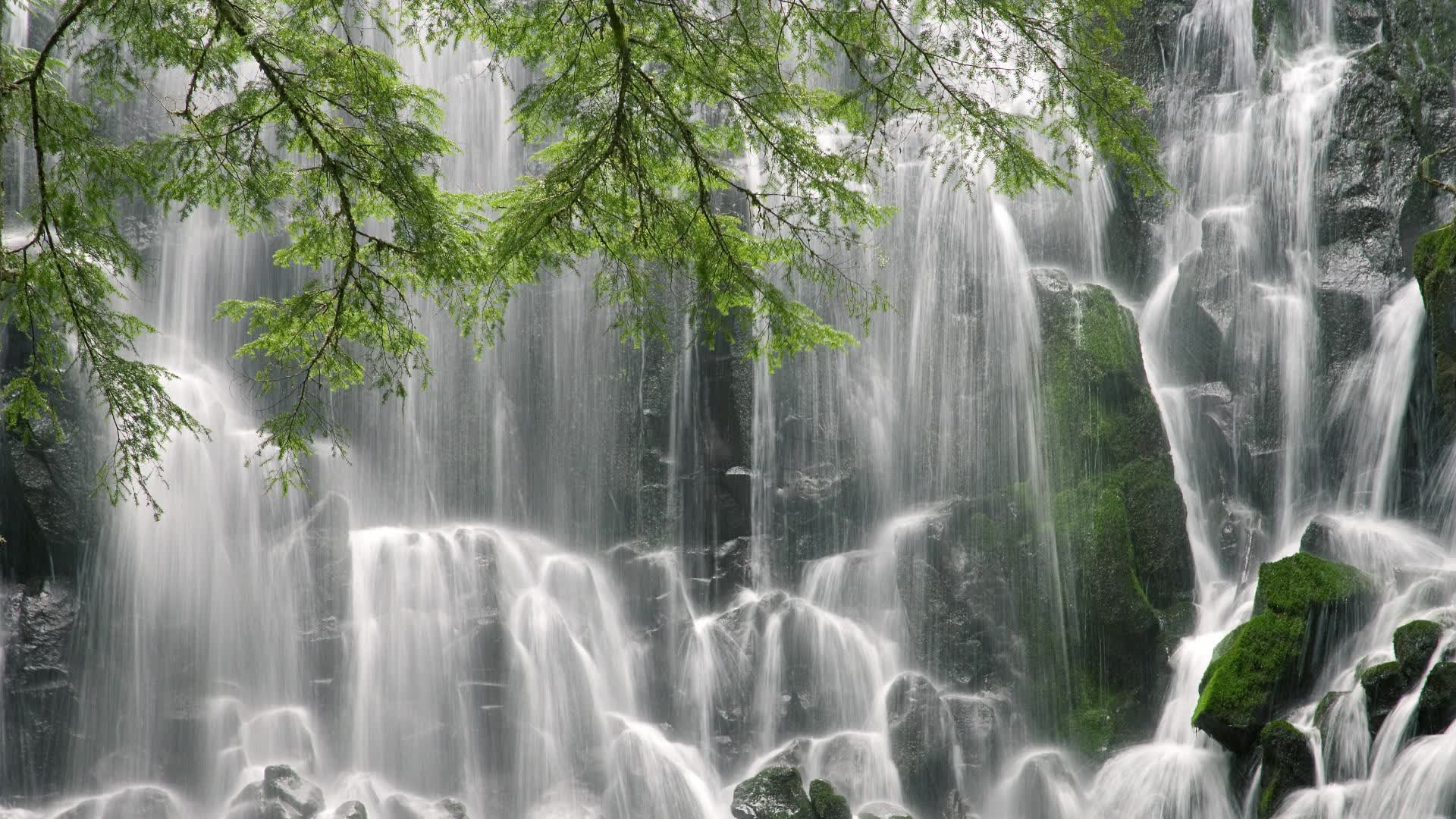 世界举重青年联赛选手技能测评体系上线，世界举重青年锦标赛